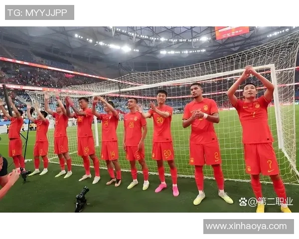 中国足球明星为何难以赢得球迷喜爱探讨与分析